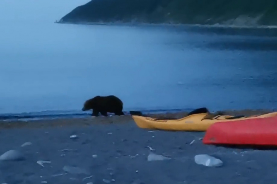 Водное путешествие по Камчатке покорило зрителей конкурса «Дальний Восток — Земля приключений». . Фотография 4