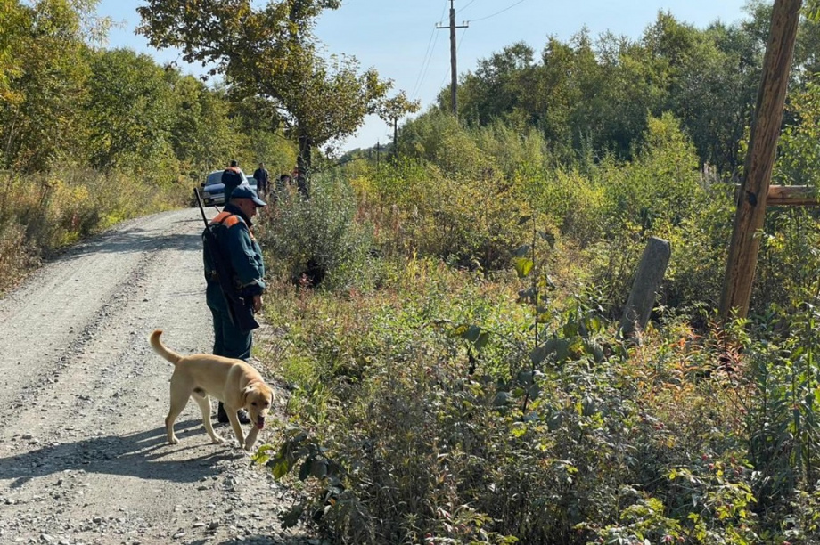 На Камчатке пятый день ищут пропавшего в лесу пенсионера. Фото: 41.mchs.gov.ru. Фотография 3