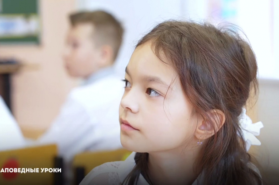 Школьникам рассказывают о заповедной природе Камчатки. Фото организаторов. Фотография 10