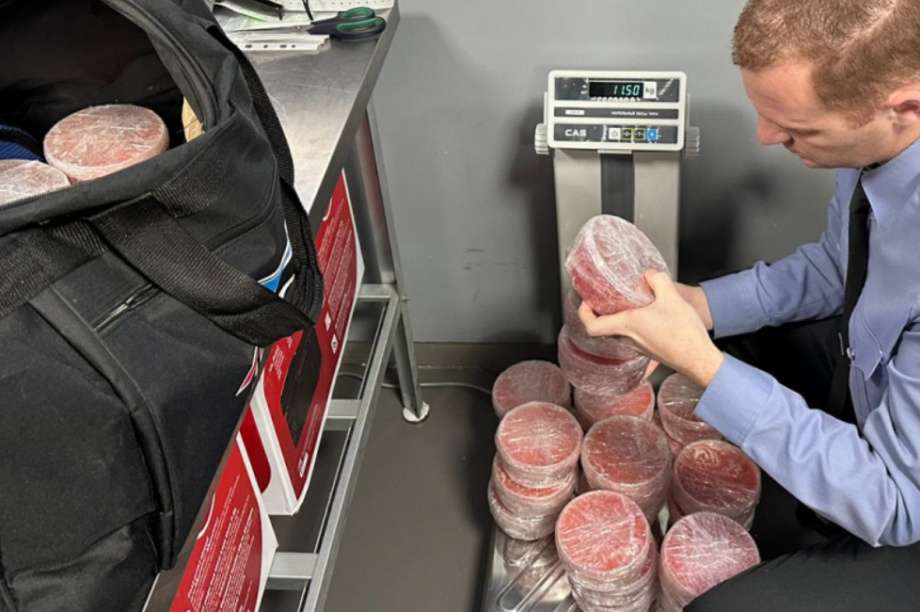 Россельхознадзор отчитался о ходе эксперимента по авиаперевозке красной икры с Камчатки. Фото: fish.gov.ru