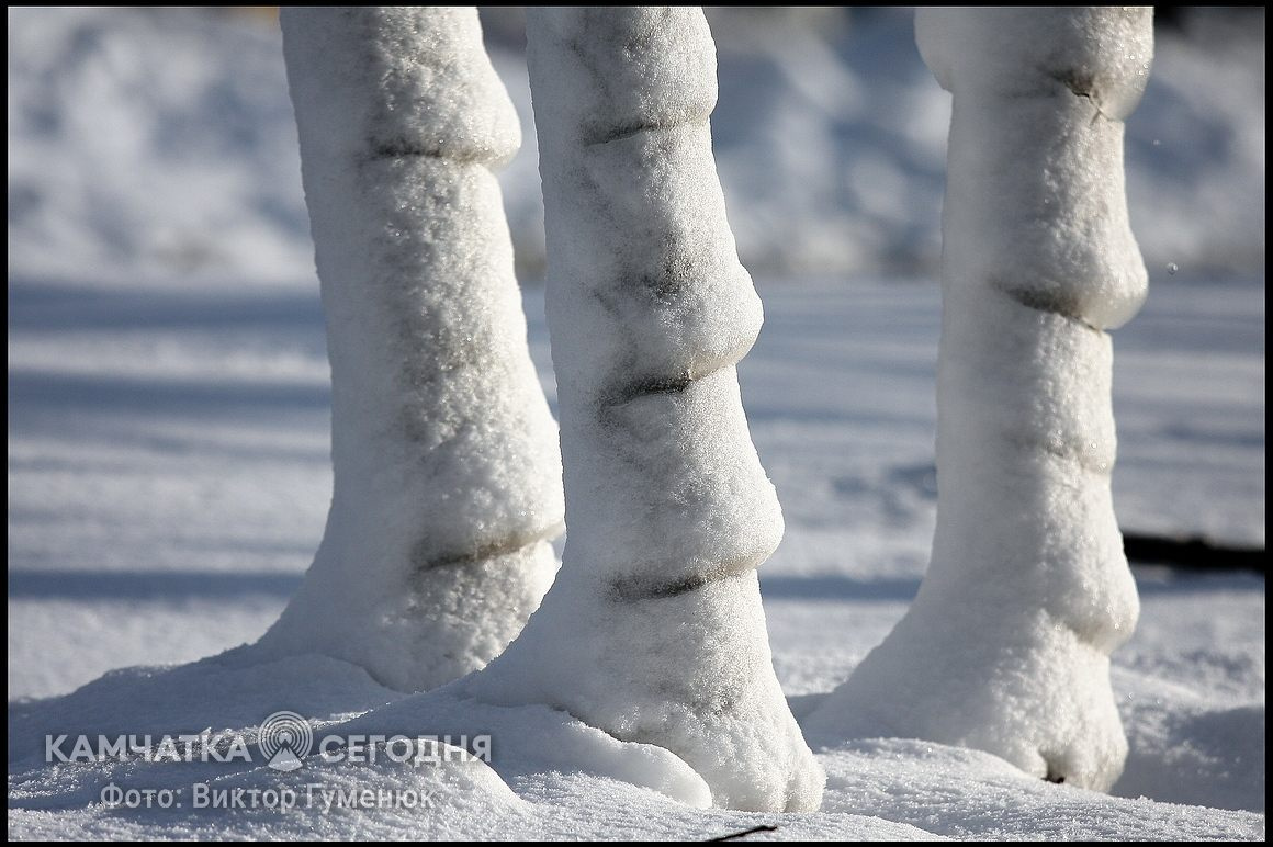 Всемирный день снега на Камчатке. фото: Виктор Гуменюк. Фотография 56