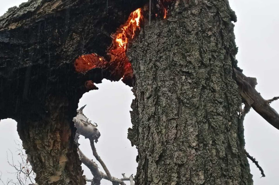 Камчатка готова к самому жаркому сезону года. Фото: kamgov.ru. Фотография 2