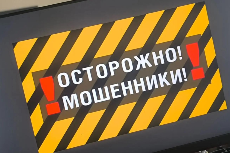 Ловушка для простака снова сработала. Фото: «Камчатка Сегодня»