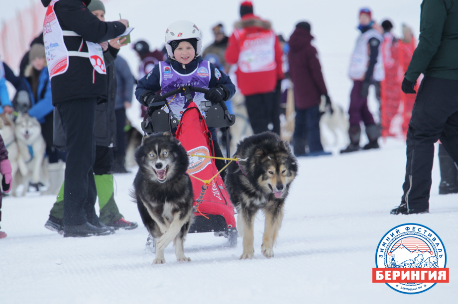 На Камчатке стартовала детская гонка на собачьих упряжках «Дюлин-2021». Фото: Виктор Гуменюк. Фотография 7