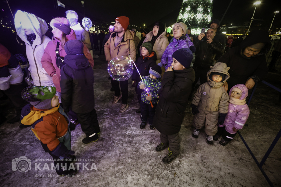 Новогодняя ночь в Петропавловске-Камчатском (фоторепортаж). . Фотография 21
