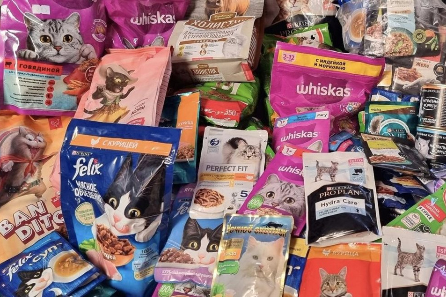 Акцию «Новогодний завтрак для котёнка» устроили в детском саду Петропавловска-Камчатского. Фото: Управление образования ПКГО. Фотография 3