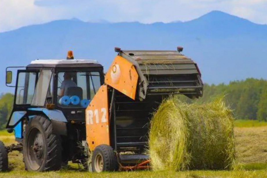 Союз работодателей Агропромышленного комплекса сформирован на Камчатке. Фото: kamgov.ru