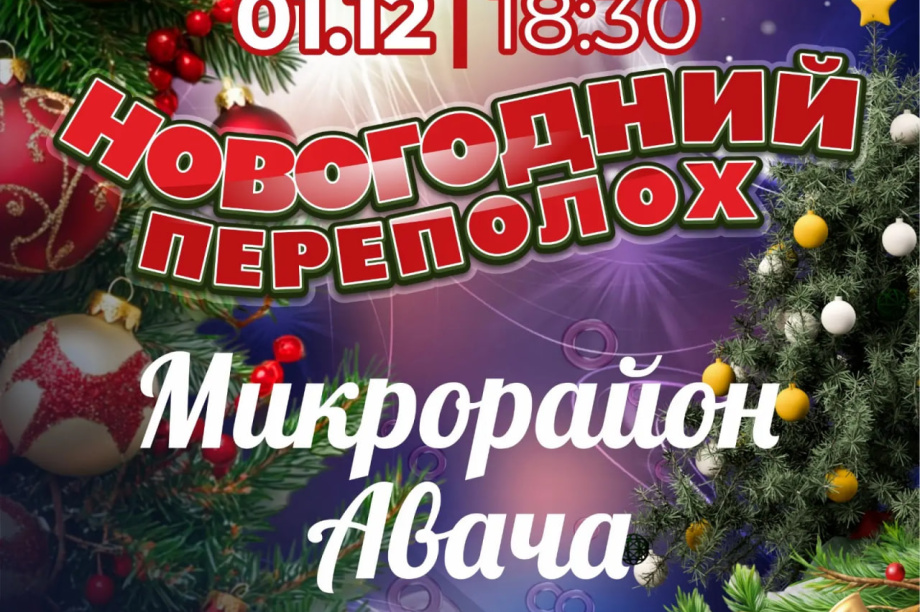 Эстафета открытия новогодних ёлок стартует в столице Камчатки . 