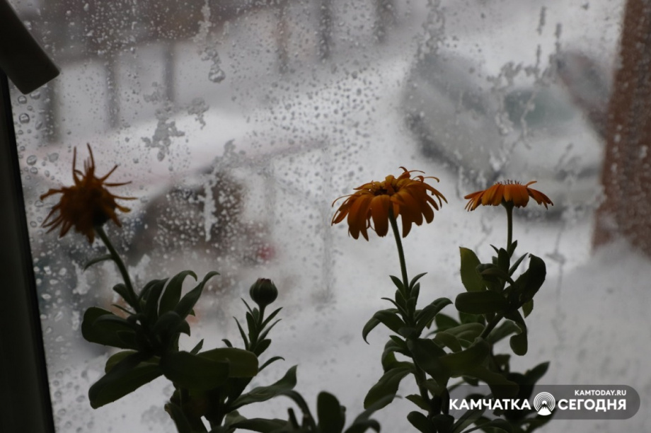 Заснеженный Петропавловск: фоторепортаж Виктора Гуменюка. Фото: Виктор Гуменюк. Фотография 1
