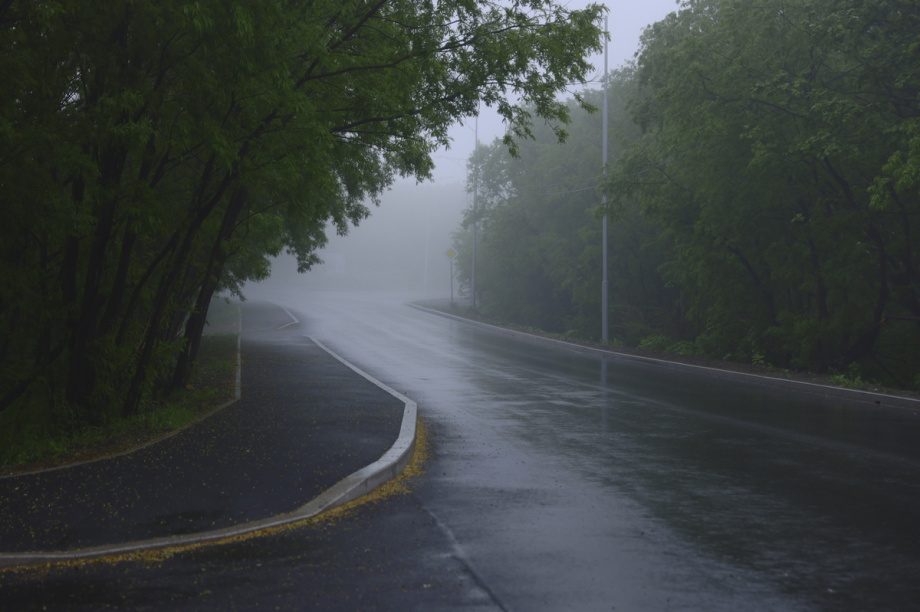 На улице Савченко в Петропавловске-Камчатском высадят рябины. Фото: Олеся Сурина, kamgov.ru. Фотография 1