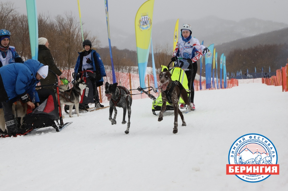 «Снежный путь – 2021». Фото: Виктор Гуменюк. Фотография 31