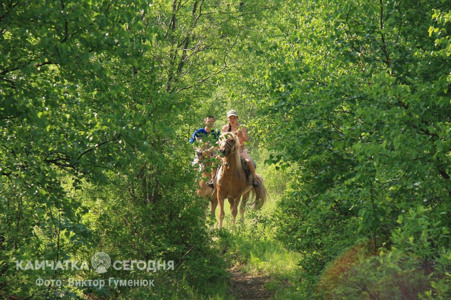 День рождения села Анавгай на Камчатке. Фотоподборка. Фото: архив/Виктор Гуменюк. Фотография 46