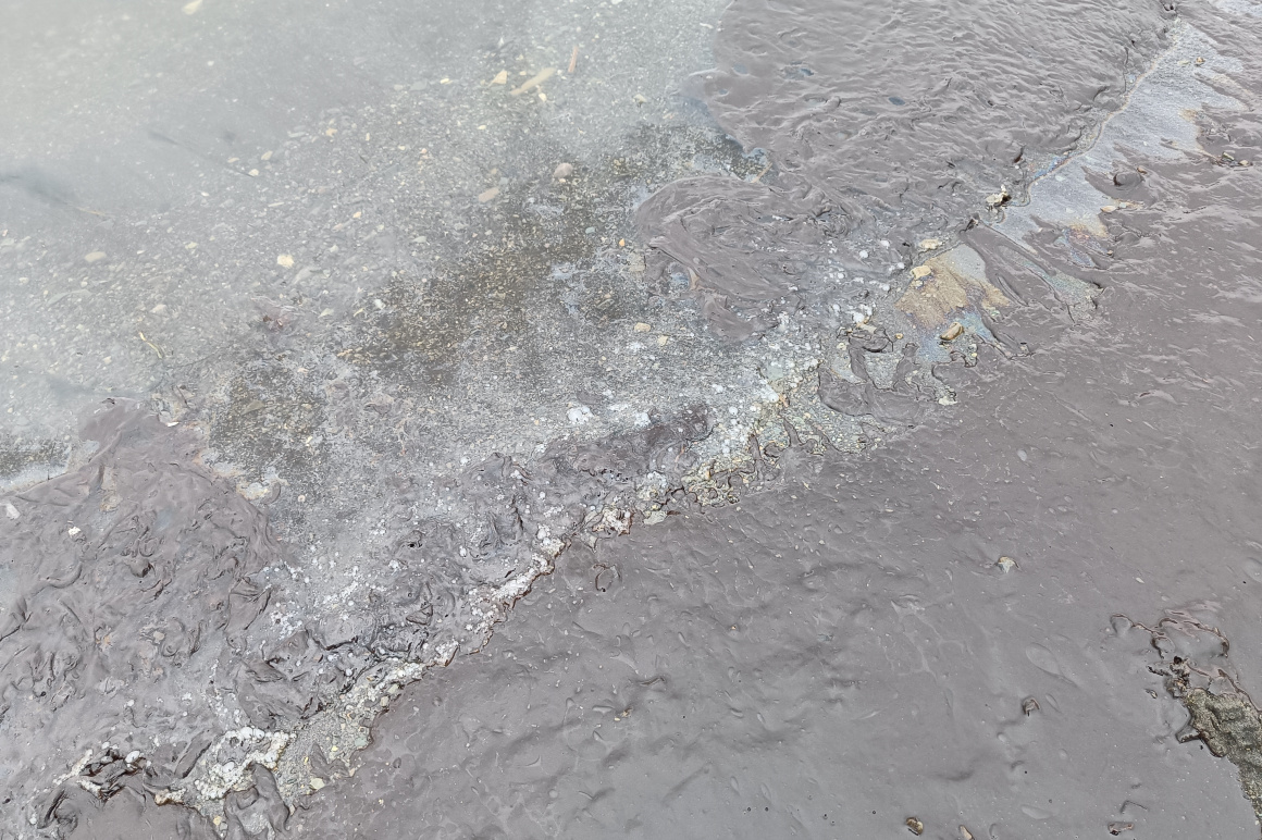 Нефтепродукты попали в Авачинскую бухту. Фото: ИА "Камчатка". Фотография 4