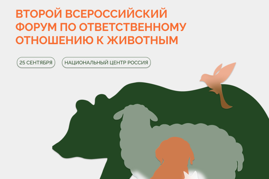 В России выбирают лучшие проекты помощи животным. Фото: kamgov.ru (архив). Фотография 2