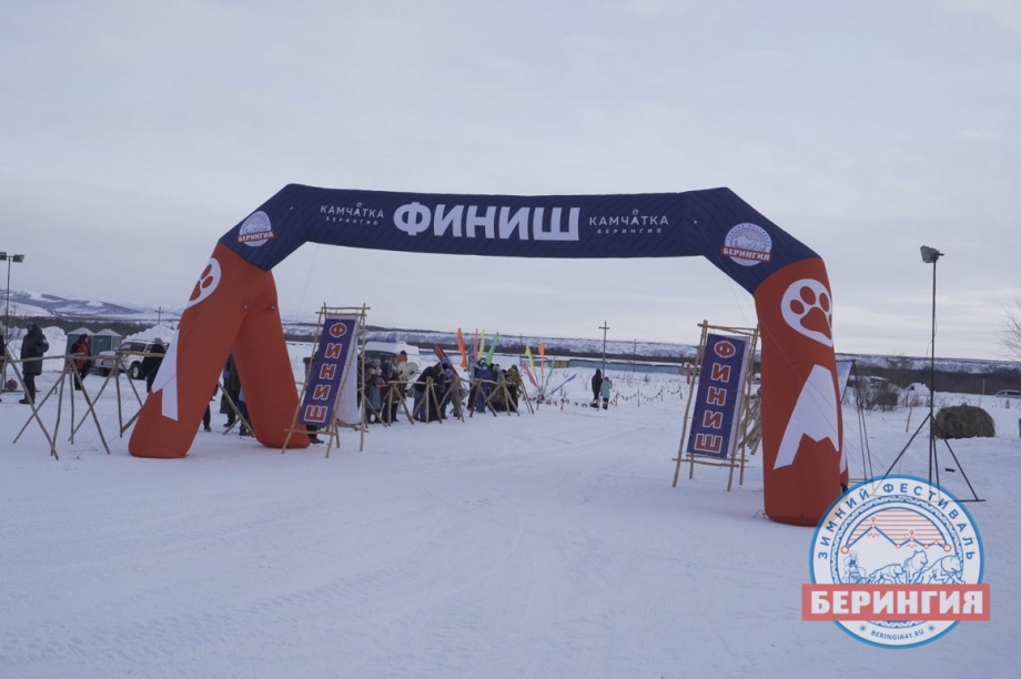 Каюр «Берингии» ночевал в тундре и снялся с гонки. Фото: Илья Мельников / информационное агентство "Камчатка". Фотография 1