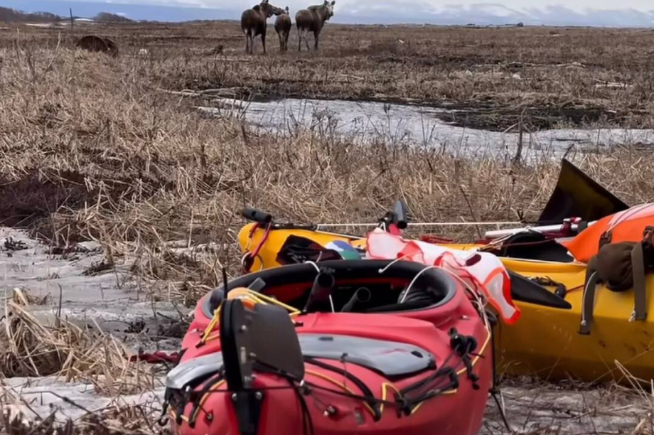 Экспедиция Vostok Expeditions стартовала с Камчатки на Чукотку: 3800 км на каяке. . Фотография 4