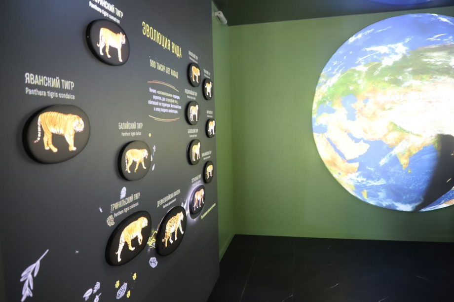 Восточный экономический форум. Фоторепортаж. Фото: Виктор Гуменюк\ИА "Камчатка". Фотография 142