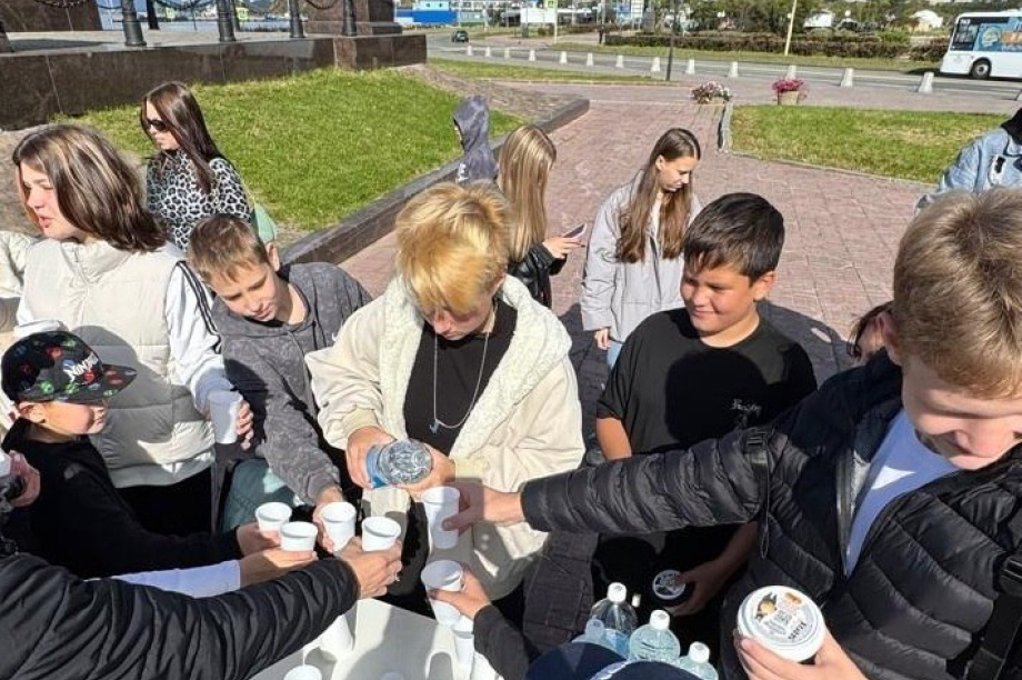 Камчатка проснулась энергично. Фото: Городская Дума. Фотография 1