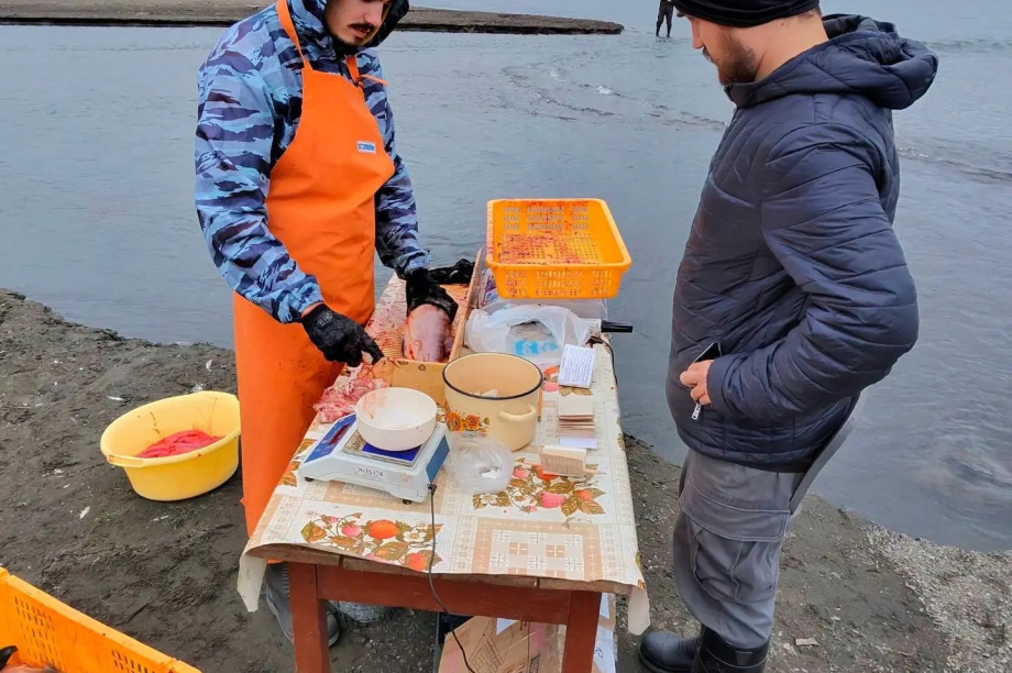 Будущие ихтиологи из Перми изучили нерест нерки на Камчатке. КамчатНИРО. Фотография 5