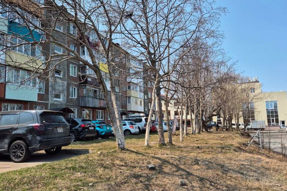 В столице Камчатки программу «Город 20/30» реализуют до 30 сентября. Фото: администрация Петропавловск-Камчатского городского округа