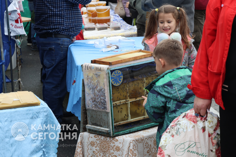 «Елизовская осень-2025» в лицах и эмоциях (фоторепортаж). . Фотография 5