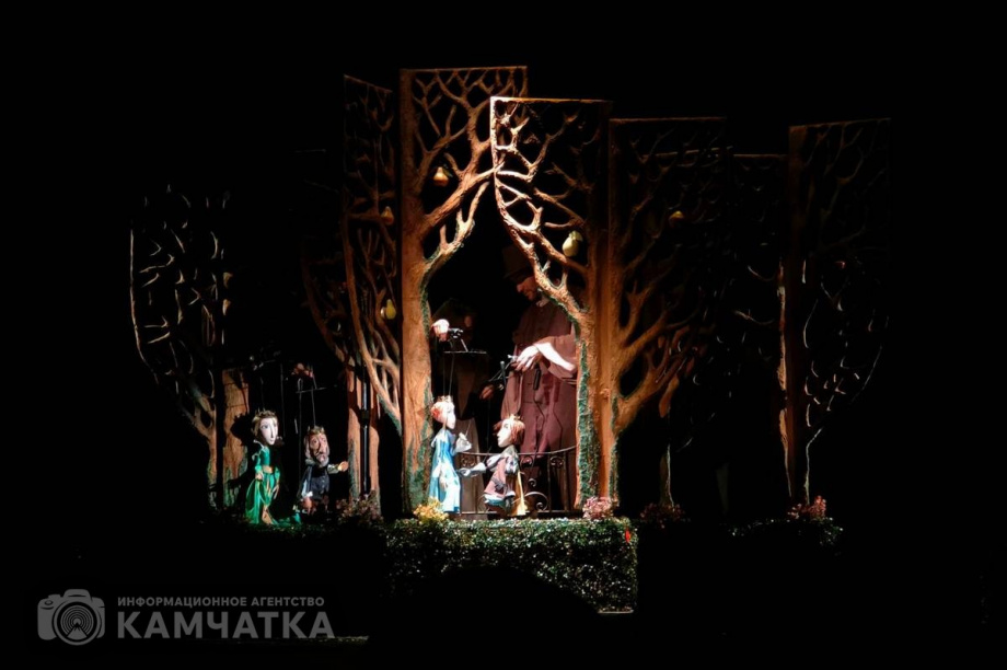 Гастроли Иркутского областного театра кукол «Аистёнок» завершились на Камчатке. Фото: Олеся Сурина, t.me/kampuppet. Фотография 1