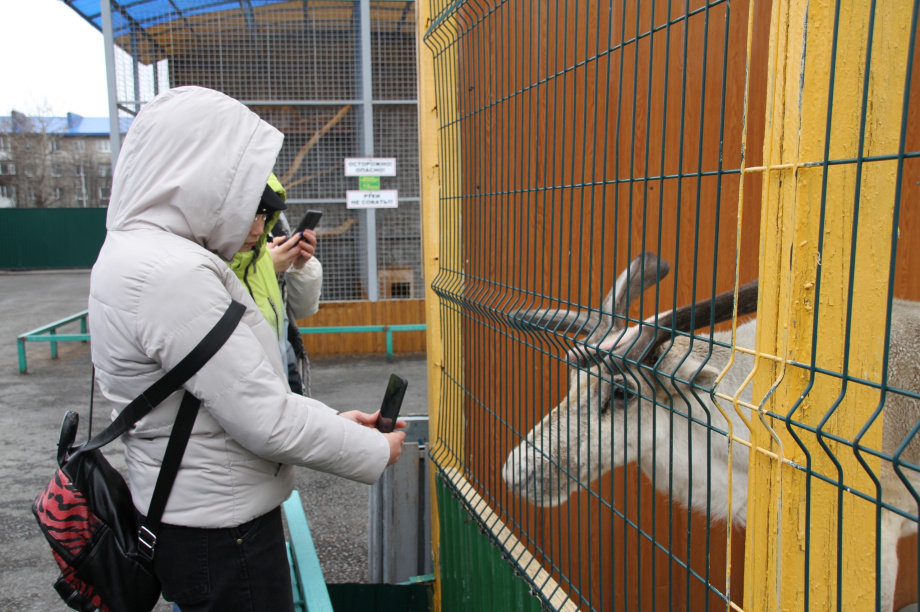 Крокодилы, орланы и пауки-птицееды: Елизовскому зоопарку исполнилось 43 года. Фото: администрация Елизовского района (архив). Фотография 3