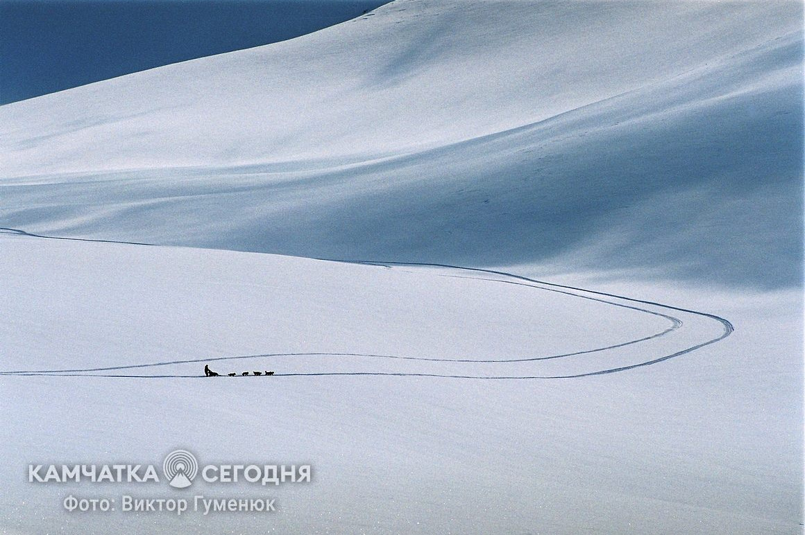 Всемирный день снега на Камчатке. фото: Виктор Гуменюк. Фотография 5