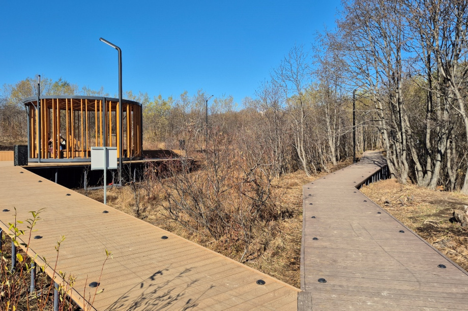 «Дачный» обгоняет всех: жители Петропавловска выбирают имя для экопарка. Фото: администрация ПКГО. Фотография 3