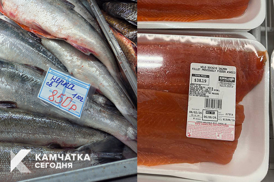 Лосось на Камчатке и на Аляске: сравниваем цены. ИА «Камчатка» / Кирилл Маренин