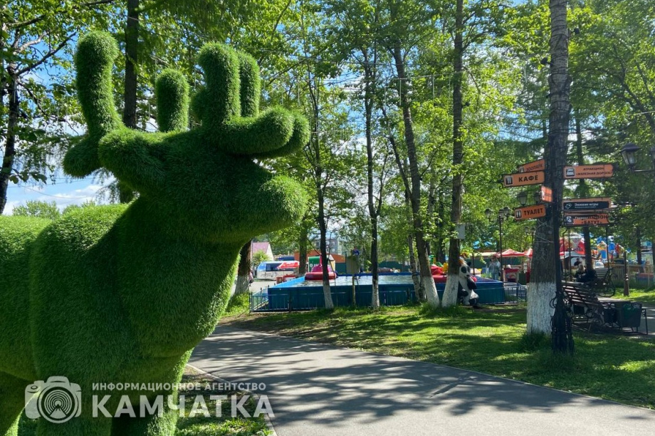 Камчатцев познакомят 17 августа с историей гражданской авиации полуострова . фото: ИА "Камчатка"