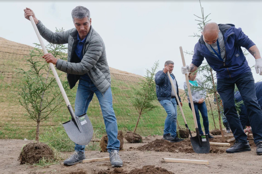 Аэропорт Елизово на Камчатке новая зеленая зона и удобные парковки. Фото: пресс-службы Елизовского аэропорта. Фотография 2
