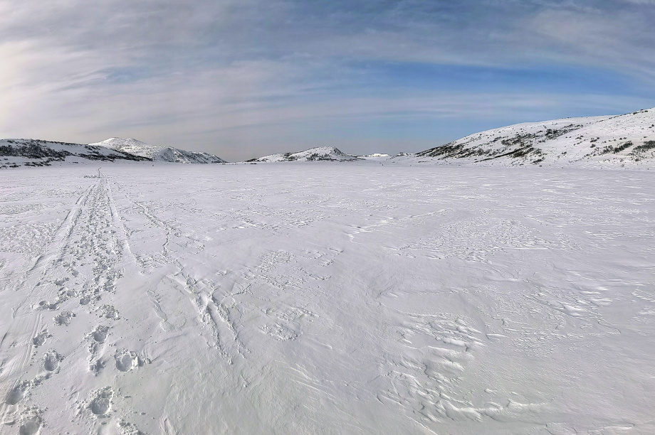 Живую популяцию древнего гольца ученые Камчатки нашли в ледниковом озере. Фото: сеть природных парков "Вулканы Камчтки". Фотография 2
