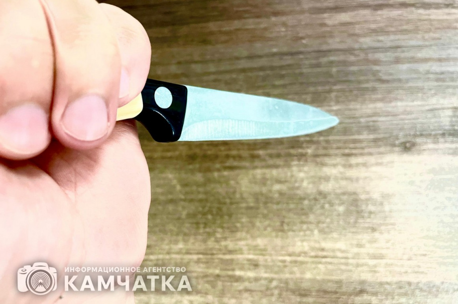 Пять лет строгого получил житель Камчатки за нападение с ножом на соседа. фото: ИА "Камчатка"