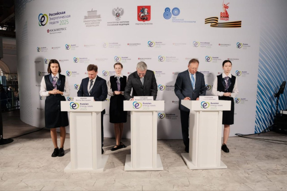 На Камчатке построят новую геотермальную электростанцию. . Фотография 1