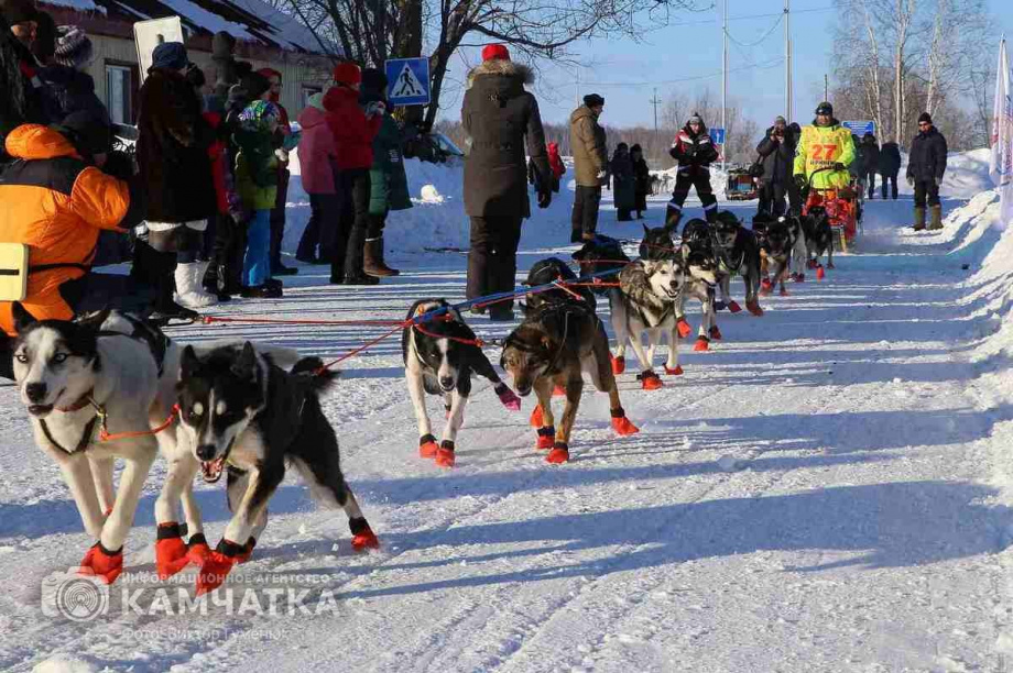 Камчатка и Чукотка проведут совместную гонку на собачьих упряжках. Фото: Виктор Гуменюк, архив ИА "Камчатка". Фотография 2