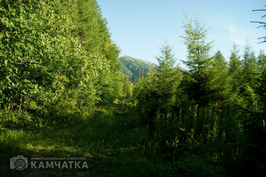 Два беспилотника будут помогать тушить лесные пожары в Камчатском крае. Фото: Евгения Пылёва