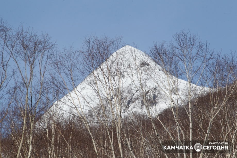 Ски-альпинисты завешают сезон. Фото: Виктор Гуменюк / информационное агентство "Камчатка". Фотография 35