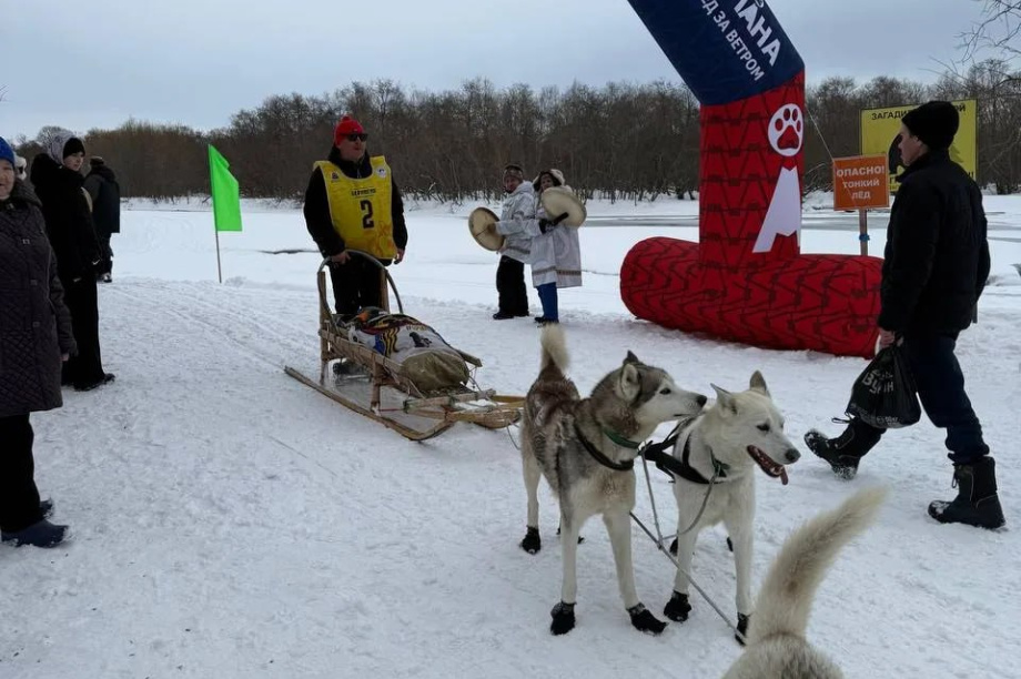 Камчатская «Берингия-2026» добралась до Паланы. Фото: Юлия Воронова. Фотография 4