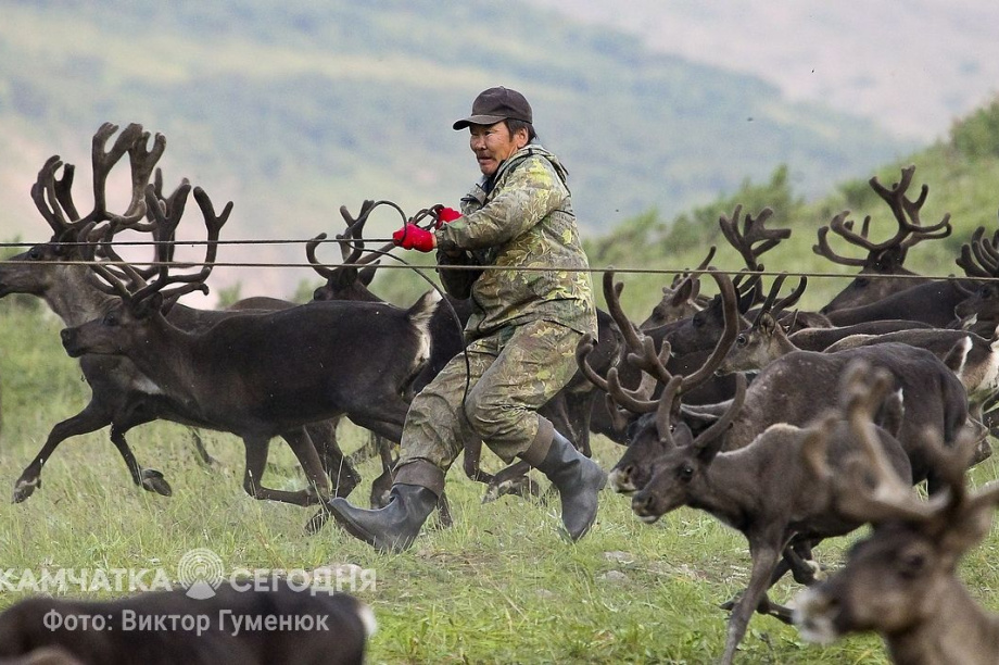 День рождения села Анавгай на Камчатке. Фотоподборка. Фото: архив/Виктор Гуменюк. Фотография 113