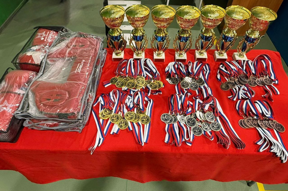  В столице Камчатки определили чемпионов по боксу. Фото: Министерство спорта Камчатского края. Фотография 1