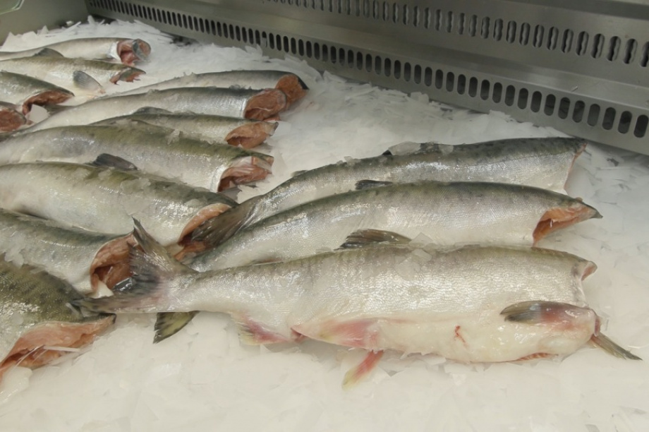 Дело о масштабной торговле браконьерской рыбой дошло до суда на Камчатке. Фото: ИА «Камчатка»