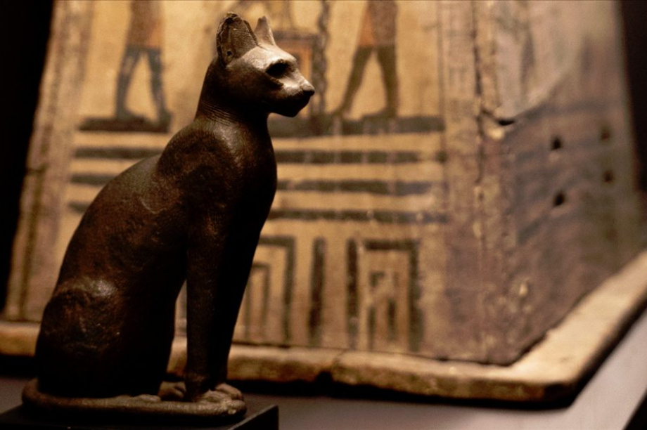 Фестиваль «Звук вокруг» открылся для ценителей «художественного языка искусства» на Камчатке. Фото организаторов