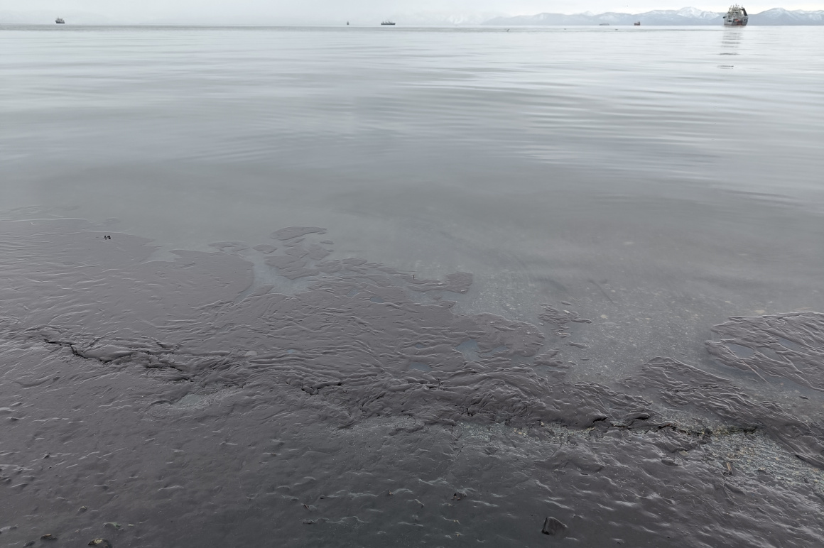 Пятно на воде в Авачинской бухте растянулось на полкилометра – МЧС. Фото: ИА "Камчатка". Фотография 8