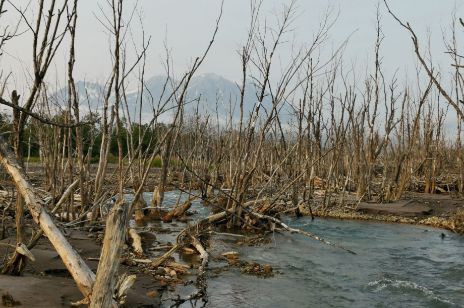  Ученые оценят степень загрязнения камчатских рек. Фото: Е.Есин. Фотография 3