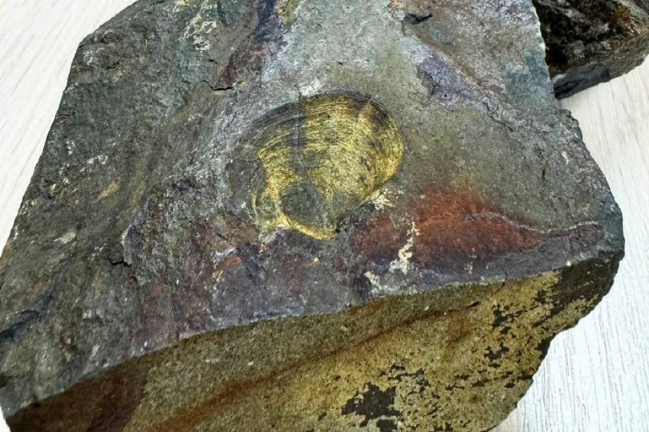 Горный массив Вачкажец был морским дном миллионы лет назад. . Фотография 2