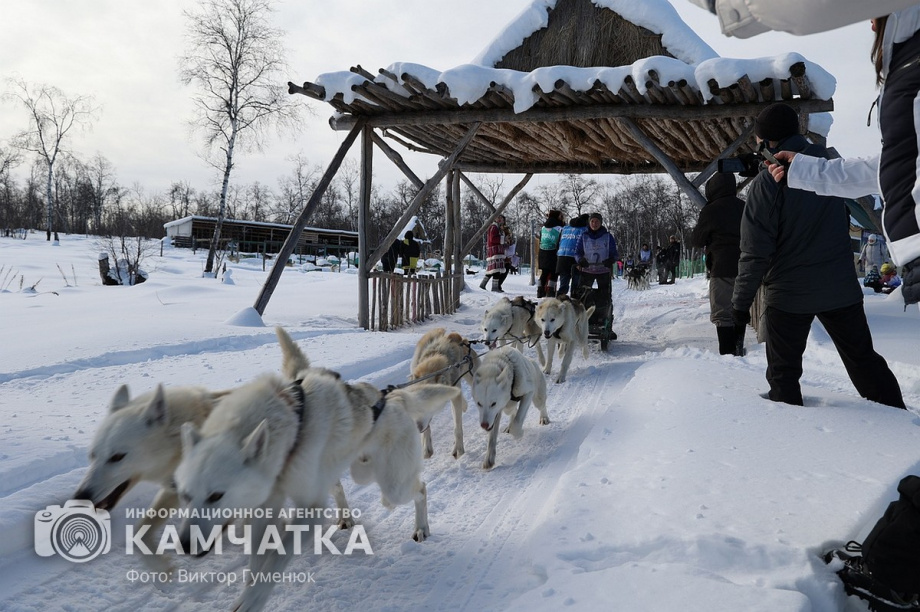 Гонка на собачьих упряжках «Хальч Тхсаном». Фоторепортаж  . Фото: Виктор Гуменюк. Фотография 19