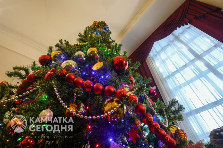 Что подорожает на Камчатке к Новому году и как сократить расходы. 