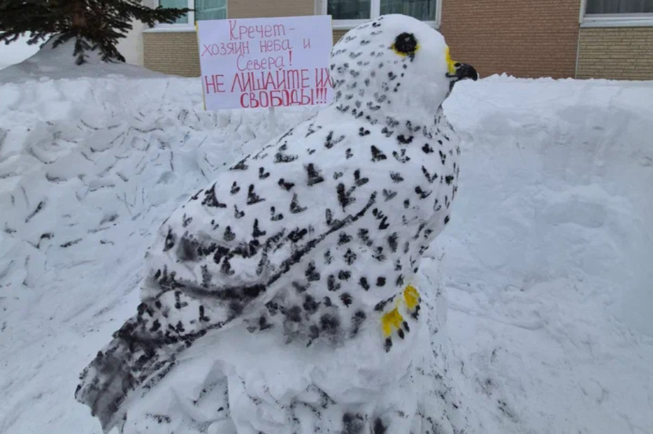 Жители Камчатки создали снежные скульптуры обитателей  местных заповедников. Фото: пресс-служба Кроноцкого заповедника. Фотография 2