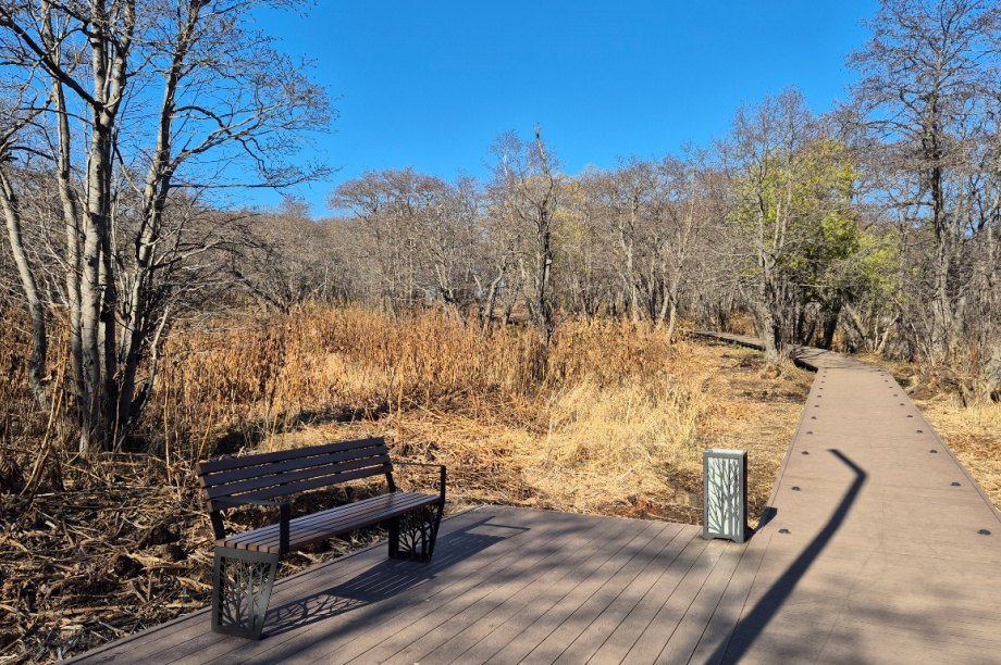 «Дачный» обгоняет всех: жители Петропавловска выбирают имя для экопарка. Фото: администрация ПКГО. Фотография 5